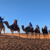 RESERVA MARRUECOS